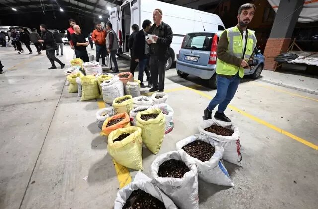 Kilosu 400 liraya satışa çıktı! Herkes bu lezzetin peşinde