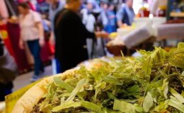Ihlamurun fiyatı altınla yarışıyor