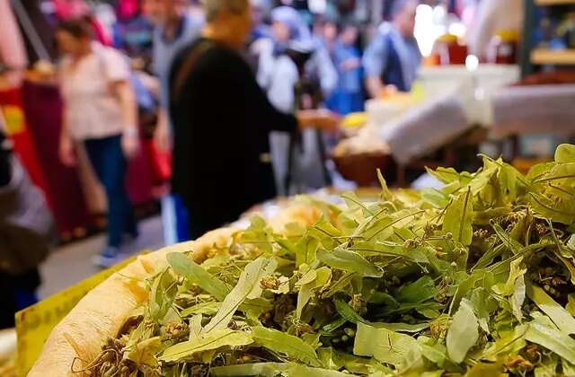 Ihlamurun fiyatı altınla yarışıyor