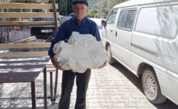 Konya’nın bir köyünde bulundu! İlk önce taş sandı, yaklaşınca donup kaldı