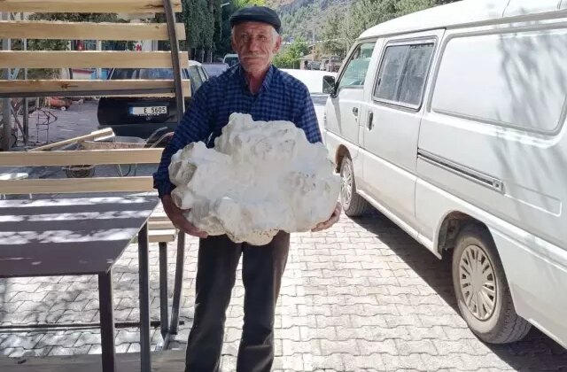 Konya’nın bir köyünde bulundu! İlk önce taş sandı, yaklaşınca donup kaldı