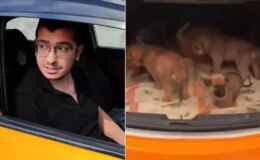 Köpeklere cinsel saldırıda bulunup öldüren doktora hapis cezası