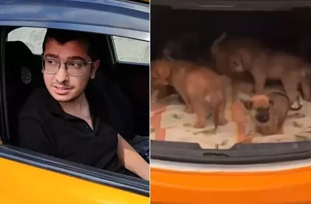 Köpeklere cinsel saldırıda bulunup öldüren doktora hapis cezası