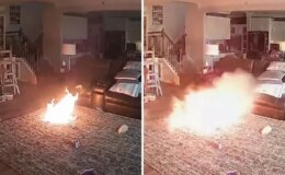 Lityum pili ısıran köpek evde büyük bir yangının çıkmasına sebep oldu