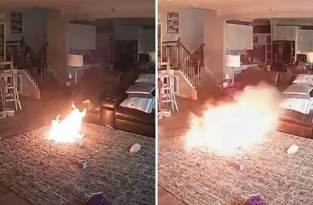 Lityum pili ısıran köpek evde büyük bir yangının çıkmasına sebep oldu