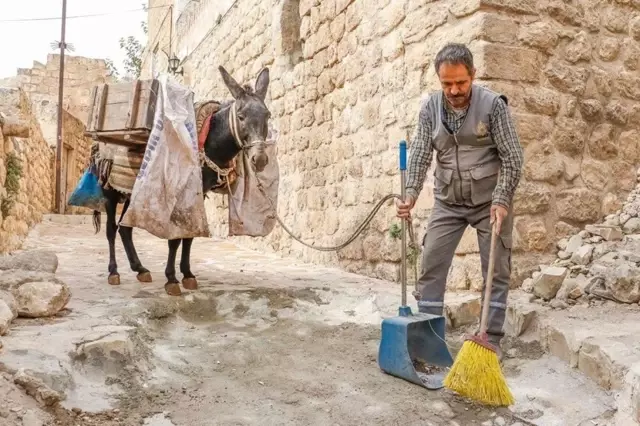 Yıllardır sokak sokak geziyorlardı! Kadrolu eşekler artık emekli olacak 76 mardin de esekler emekli oluyor yerine 19191399 8084 o