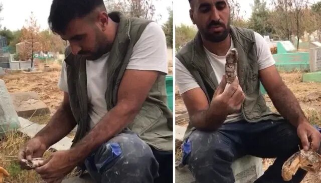 Mezarlıkta kan donduran manzara! Bulur bulmaz yaktı