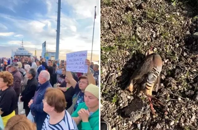 Paşalimanı Adası’nda keklik avına gelen avcılar protesto edildi