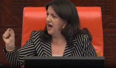 Pervin Buldan’ın isim vererek teşhir ettiği vekil: Bana cinsiyetçi mesaj gönderdi