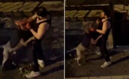 Pitbull cinsi köpek sahibini ısırdı, adamın yardım çığlıkları sokağı inletti