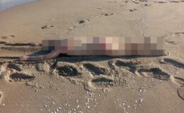 Sakarya Karasu’da sahilde çıplak erkek cesedi bulundu