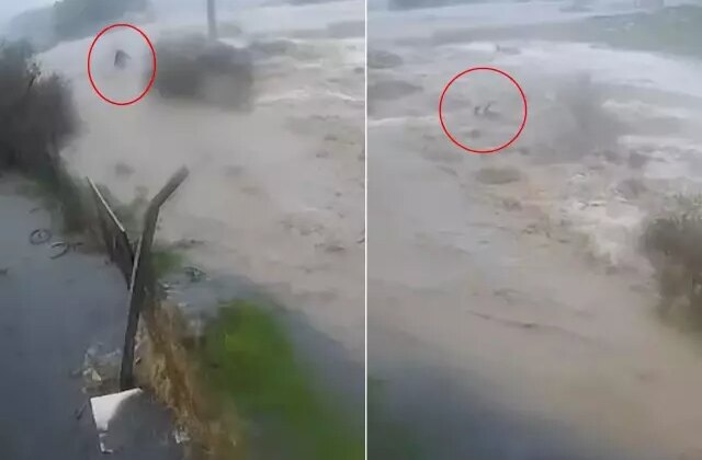 Sele kapılan Bülent Kaptanoğlu’nun son anları kamerada! Ne yapsa kurtulamadı
