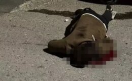 Sırtındaki bıçakla hastaneye yetişemeden can verdi