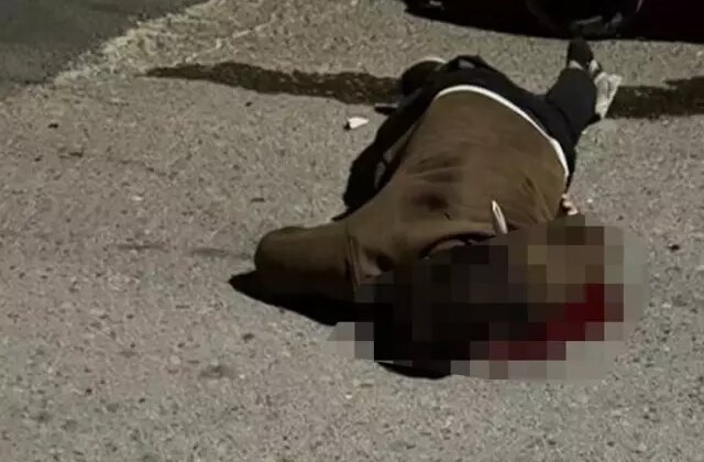 Sırtındaki bıçakla hastaneye yetişemeden can verdi