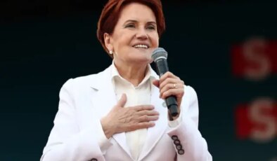 Siyasetten çekilen Meral Akşener sessizliğini bozdu