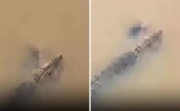Timsah, nehirde yıkanan kadını suya çekerek ölürdü