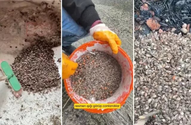 Türkiye’nin öteki gündemi! “Son virajdayız” diyen vatandaştan endişelendiren sözler