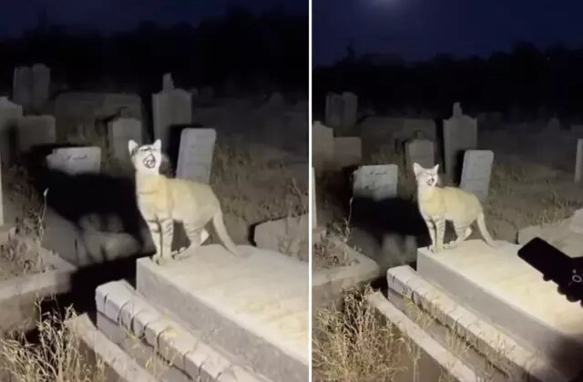 Yapar zekanın geldiği son nokta: Binlerce kişi gerçek sanıp paylaştı