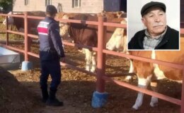 Yaşlı adam, beslediği hayvan tarafından öldürüldü