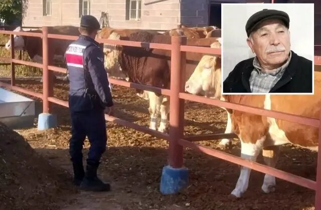 Yaşlı adam, beslediği hayvan tarafından öldürüldü