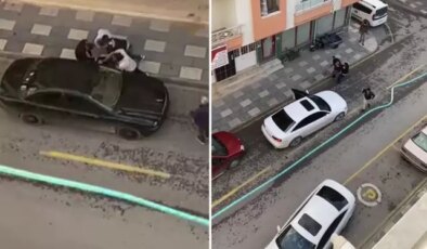Kooperatif kavgasında kan döküldü: 2 kişi öldü, 2 kişi yaralandı