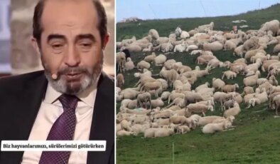 Şehit mezarının yeri, koyun sürüsünün garip davranışıyla fark edildi: O alanı kazınca…