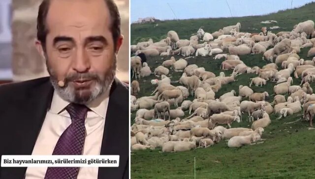 Şehit mezarının yeri, koyun sürüsünün garip davranışıyla fark edildi: O alanı kazınca…