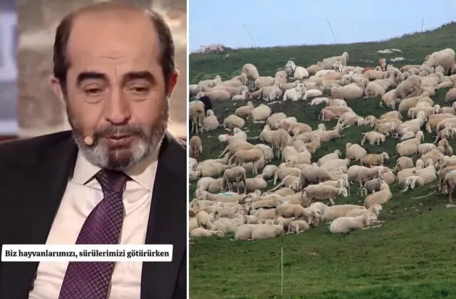 Şehit mezarının yeri, koyun sürüsünün garip davranışıyla fark edildi: O alanı kazınca…