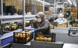 25 ülkeye ihracat yapıyordu! Türkiye’nin gıda devi iflasın eşiğinde