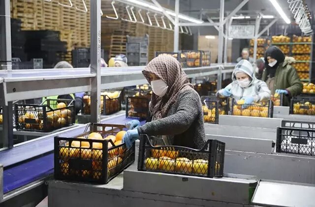 25 ülkeye ihracat yapıyordu! Türkiye’nin gıda devi iflasın eşiğinde