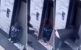 3 yaşındaki çocuk ailesinin gözü önünde asansör boşluğuna düştü