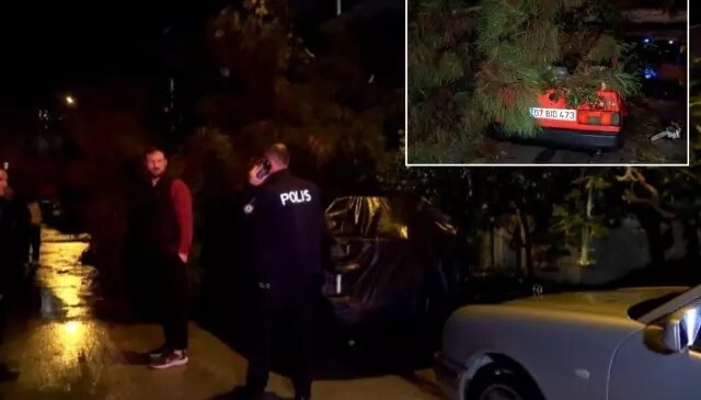 Antalya’da şiddetli rüzgar ağaç devirdi