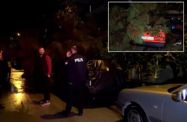 Antalya’da şiddetli rüzgar ağaç devirdi