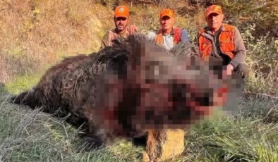 Avcılar bile şaşırdı! Kilosuna kimse inanamadı