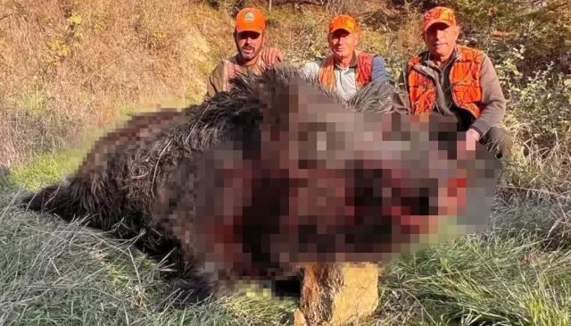 Avcılar bile şaşırdı! Kilosuna kimse inanamadı