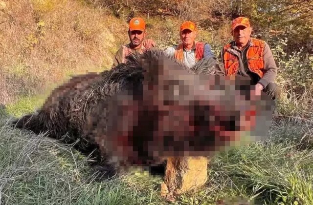 Avcılar bile şaşırdı! Kilosuna kimse inanamadı