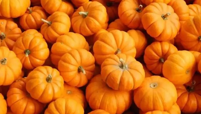 Balkabağı Mutfaklarda Geleneksel Rolünün Dışına Çıktı