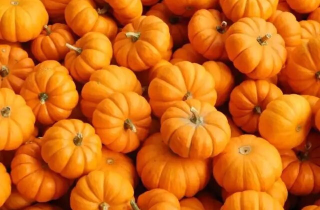 Balkabağı Mutfaklarda Geleneksel Rolünün Dışına Çıktı