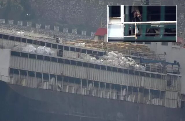 Utanç tablosu Türkiye’den! İnekler susuzluktan boruları yaladı