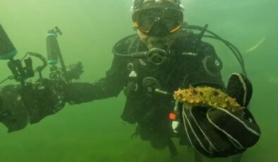 Belediye başkanı dalgıç kıyafeti giydi, dibe indi: Gördüğü manzara şaşırttı