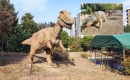 Belediyenin milyonlar harcadığı Dinozor Park çürümeye terk edildi
