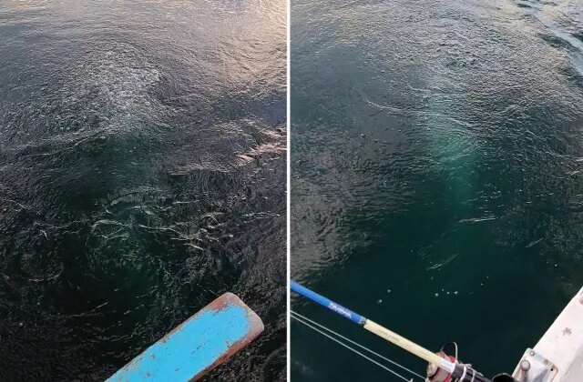 Bir şehrimiz, sudaki esrarengiz görüntüyü konuşuyor: Bayağı kaynıyor