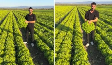 Çiftçi böyle isyan etti: Satarsam şerefsizim, koyunları otlatacağım