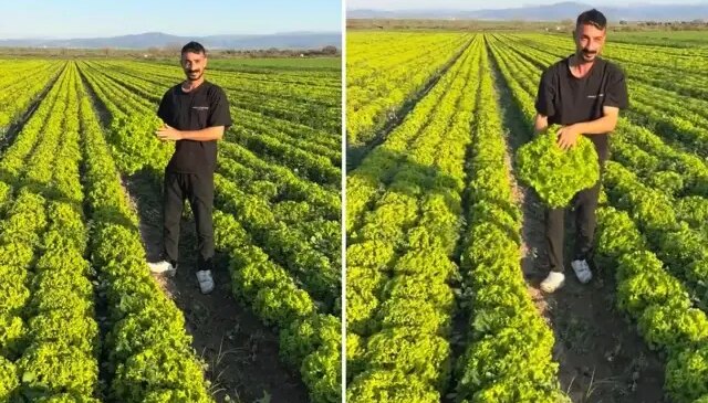 Çiftçi böyle isyan etti: Satarsam şerefsizim, koyunları otlatacağım