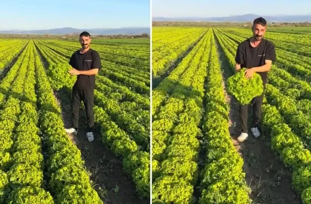 Çiftçi böyle isyan etti: Satarsam şerefsizim, koyunları otlatacağım