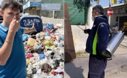 Çöp krizi istilaya dönüştü, şehir dört koldan ilaçlanıyor