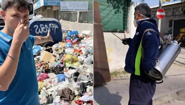 Çöp krizi istilaya dönüştü, şehir dört koldan ilaçlanıyor
