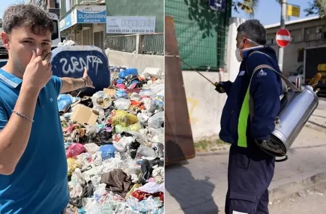 Çöp krizi istilaya dönüştü, şehir dört koldan ilaçlanıyor