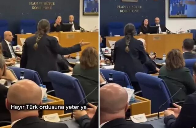 DEM Partili vekilin “Tecavüz” iddiası Türkeş’in kızını küplere bindirdi