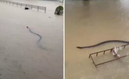 Devasa boyutlarda! Selin vurduğu ülkeden kabus görüntüleri